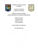 EVALUACIÓN DIAGNÓSTICA EN PSICOLOGÍA ORGANIZACIONAL