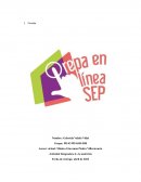 Actividad. Nutrición. Hablemos de los aminoácidos y proteínas