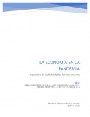 La economia en la pandemia