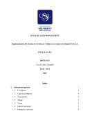 Implementación del Sistema de Gestión de Calidad en la empresa Glidepath Perú S.A.