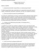 Sistema tegumentario
