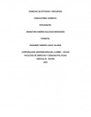 DERECHO DE PETICION Y RECURSOS