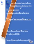 Informe de Brundtland