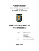 GESTIÓN DE PROYECTOS “MECHONEO SOCIAL”