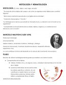 HISTOLOGÍA Y HEMATOLOGÍA