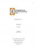 ENSAYO PELICULA THE BIG SHORT