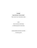 INFORME: “SELECCIÓN DEL TIPO DE CANAL”