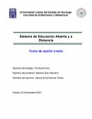 PAE Diabetes Mellitus tipo 1