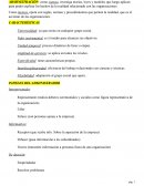 Ejercicios contaduria