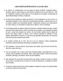 CARACTERÍSTICAS DE LA CULTURA MAYA