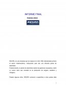 TRABAJO INDURA