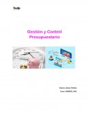 Gestión y Control Presupuestario