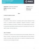 Filosofia de la disciplina