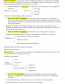 Conjunto de normas jurídicas positivas que surgen de la sociedad como un producto cultural
