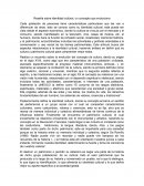 Reseña sobre identidad cultural, un concepto que evoluciona