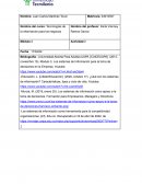 Tecnologias de la Informacion para los Negocios