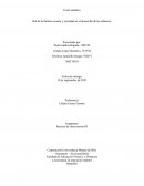 Rol de la familia escuela y sociedad en el desarrollo de las infancias