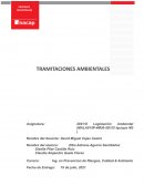 LEGISLACION AMBIENTAL