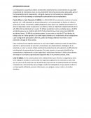 ANTECEDENTES LOCALES