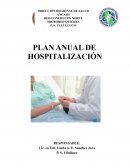 Plan anual hospitalizacion