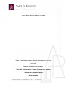 AUDITORIA INTERNA - FRAUDE