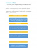 Caso práctico: Antifrágil