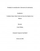 Entalpías de neutralización: Laboratorio de calorimetría