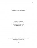 INFORME SECCION DE CONOCIMIENTO