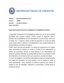 Seguridad Ocupacional de los Trabajadores y Trabajadoras Chilenas