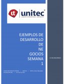 Ejemplos de desarrollo de Negocios