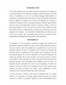 Diseño de una estrategia de marketing orientada al cliente