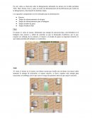 Química Orgánica halogenación