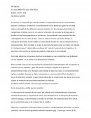 INFORME EL NACIMIENTO DEL SENTIDO BORIS CYRULNIK