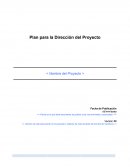 Plan para la Dirección del Proyecto