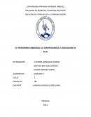EL PERIODISMO EMBOLADO, LA JURISPRUDENCIA Y LEGISLACIÓN DE ELLO