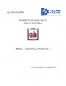 Gestión De La Producción II