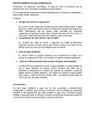 Reconocimiento de sales minerales