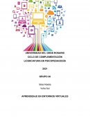 Aprendizajes en entornos virtuales
