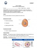 Prueba flujo de energia