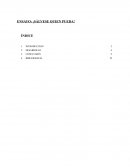 Ensayo libro sálvese quién pueda