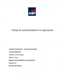 Módulo: Sustentabilidad en la organización