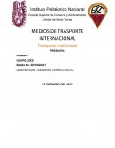 MEDIOS DE TRASPORTE INTERNACIONAL