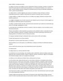 ﻿Appis melífera: las abejas que pican