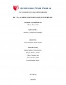 INFORME COLABORATIVO “Divino Dios S.A.C.”