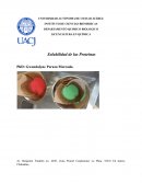 Solubilidad de las Proteínas