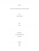 Ensayo sobre la importancia que tiene el código de conducta