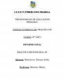 INFORME FINAL PRACTICA PROFESIONAL III