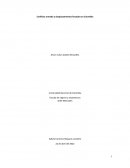 Conflicto armado y desplazamientos forzados en Colombia