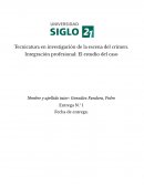 Integración profesional: El estudio del caso