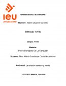 Bases Biológicas De La Conducta